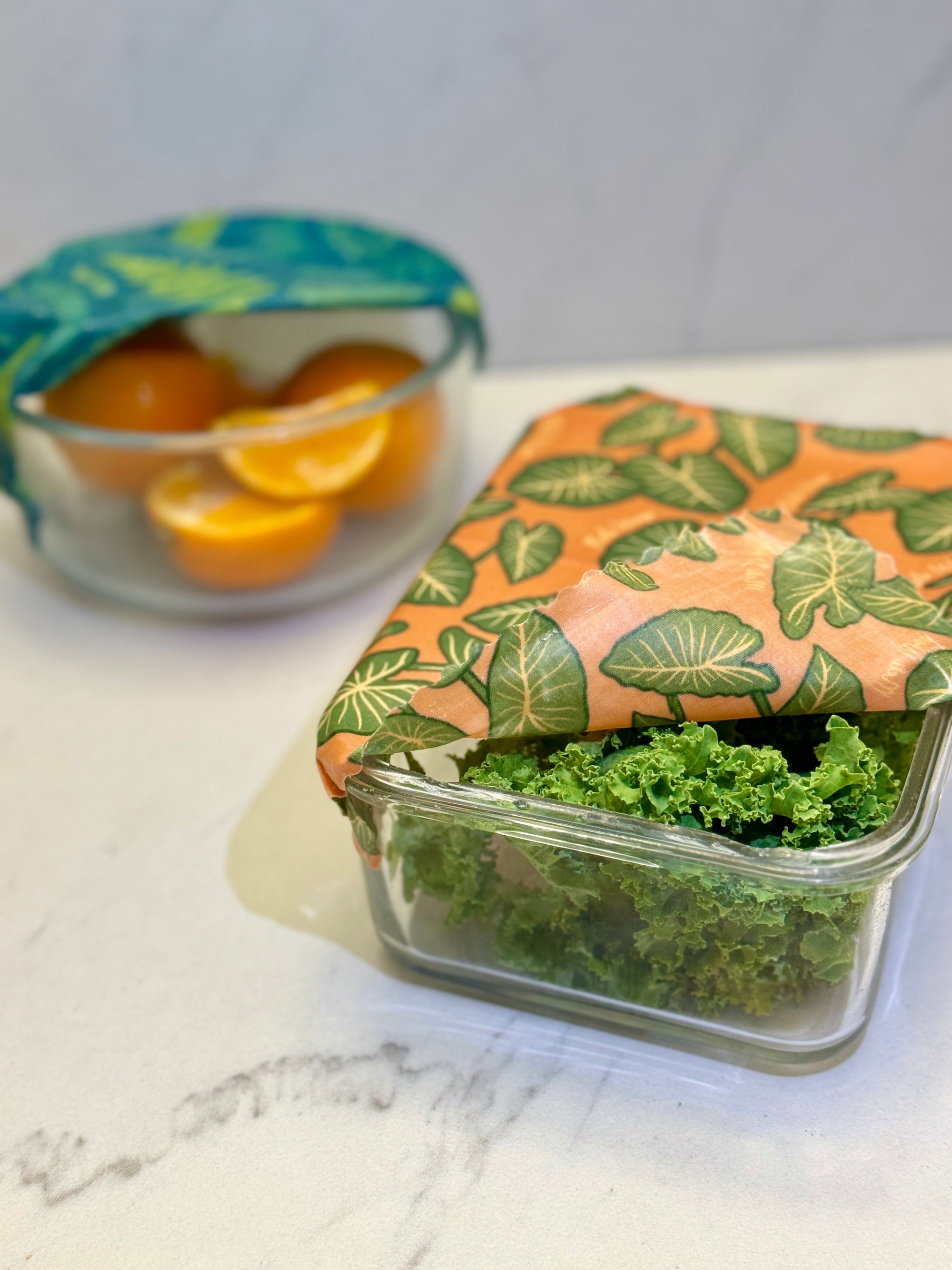 Beeswax Food Wrap - Fern Print